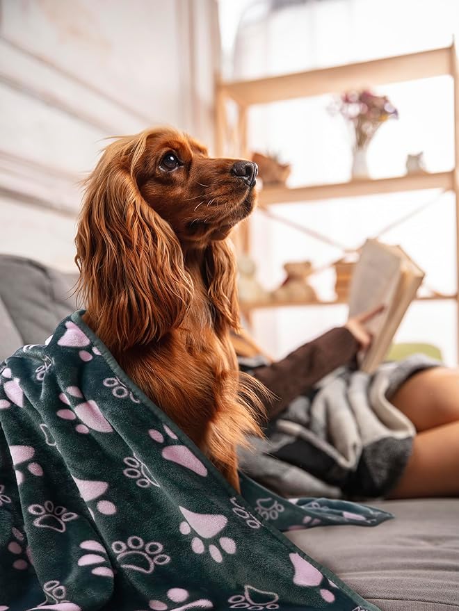 Dog Blanket, Grey Pink Flannel Fleece Blanket for Small Medium Dogs, Pet Puppy Blankets Gift for Kitten Cat, Cute Paw Print Blanket for Bed Cover, Couch, Crate, 41x31 inch