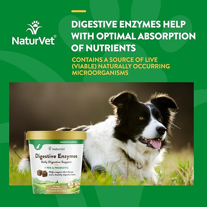 NaturVet – Digestive Enzymes - Plus Probiotics & Prebiotics – Helps Support Diet Change & A Healthy Digestive Tract – for Dogs & Cats (Soft Chews, 70 Count)