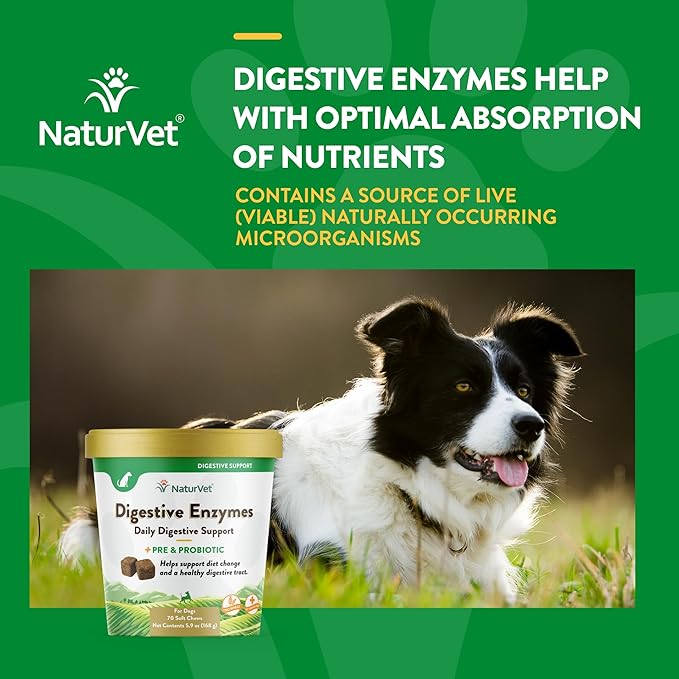 NaturVet – Digestive Enzymes - Plus Probiotics & Prebiotics – Helps Support Diet Change & A Healthy Digestive Tract – for Dogs & Cats (Soft Chews, 70 Count)