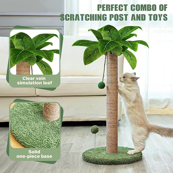 Cat Scratching Post, 26" Kitten Scratching Post with Premium Sisal Rope, Cute Cat Tree with Dangling and Spring Ball Toys for Indoor Small Cats