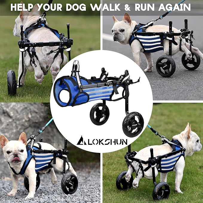 2024 Upgraded Dog Wheelchair for Back Legs Small Wheelchair for Dogs with Disabled Hind Legs Walking Adjustable Dog Carts with Heavy duty Wheels & Patented