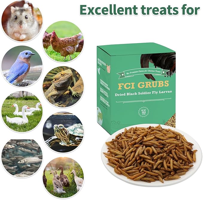 High Calcium, Non-GMO, 10LB Dried Black Soldier Fly Larvae for Chickens, 60-100X More Calcium Than Mealworms for Laying Hen, Ducks, Wild Birds,Turtles