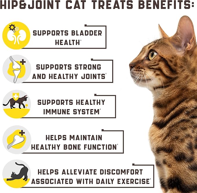 Kinpur Pet Care Natural Glucosamine for Cats - Effective Cat Joint Supplement That Helps Improve Flexibility and Mobility - Hip and Joint Support for Cats - American Quality - 135 Chews (Pack of 1)