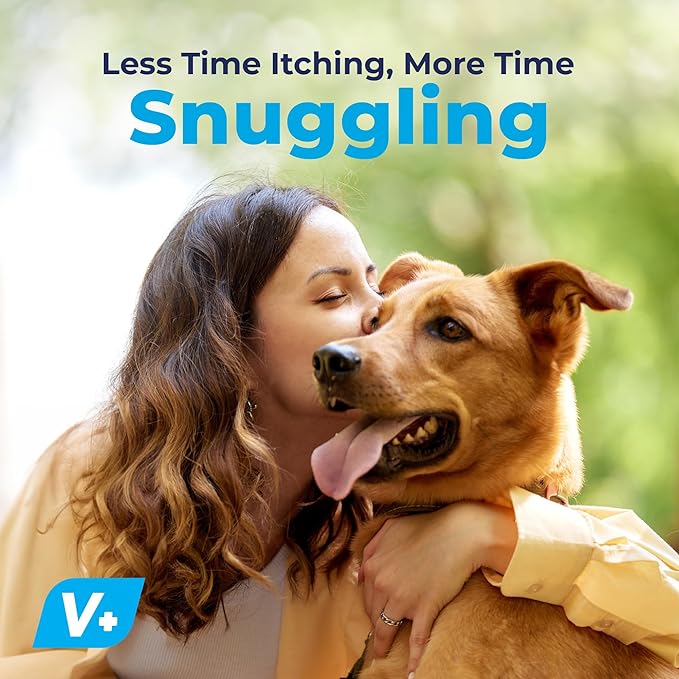 Vetnique Dermabliss Dog Allergy Relief & Immune Support Supplement Allergy Chews for Dogs Itching and Licking with Omega 3 Fish Oil & Probiotics for Itch Relief - Vet Recommended (30ct Chews)