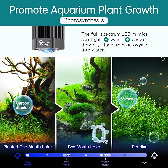 hygger 100W Aquarium Light Full Spectrum RGB COB LED Clip On Fish Tank Grow Light with Mounting Bracket Compatible with Timer Smart Plug for Low-to High Light Demanding Aquatic Plants