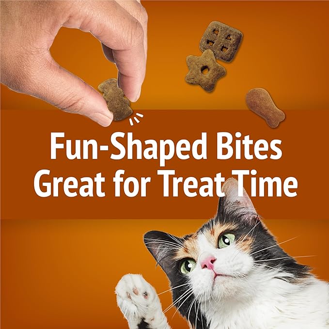Purina Friskies Made in USA Facilities Cat Treats, Party Mix Chicken Lovers Crunch - 20 oz. Pouch