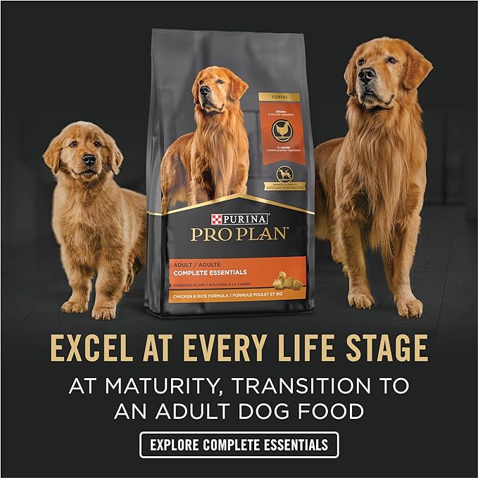 Purina Pro Plan High Protein Puppy Food Pate, Chicken and Brown Rice Entree - (Pack of 12) 13 oz. Cans