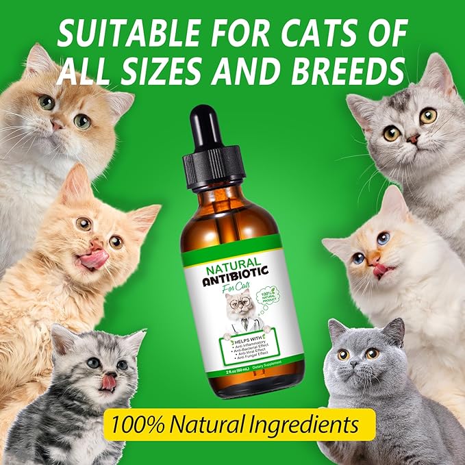 Natural Antibiotics for Cats, Pet Supplements, 2 Fl Oz / 1 Pack Cats Multivitamin, Cat Antibiotic, Supports Cat Allergy Itch Relief, Chicken Flavor