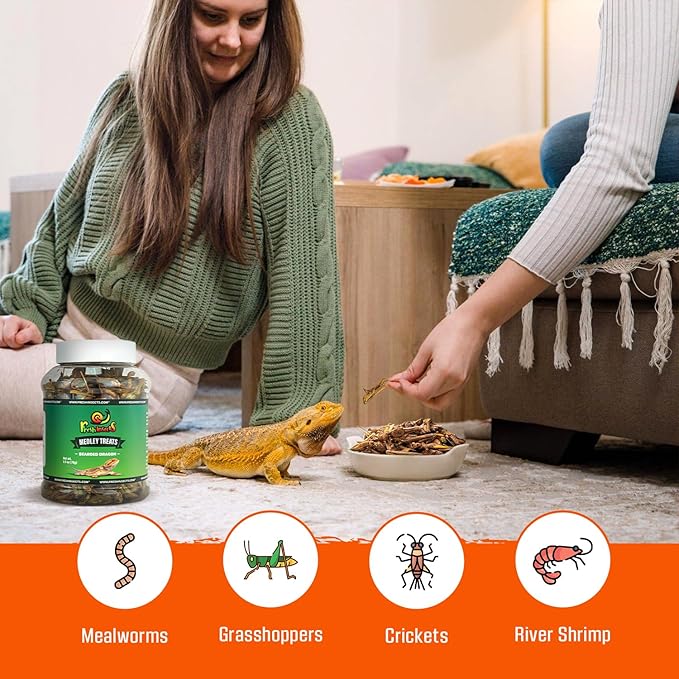 Medley Treat Bearded Dragon Food - Freeze Dried Mealworms, Grasshoppers, Crickets, Quality Tested, Vitamin & Calcium Enriched, Essential Proteins, Fats & Minerals - For Bearded Dragons, Reptiles 2.5oz