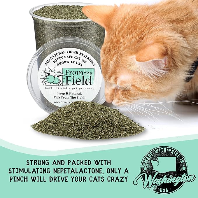 From The Field 6-Ounce Catnip Kitty Safe Stalkless Tub