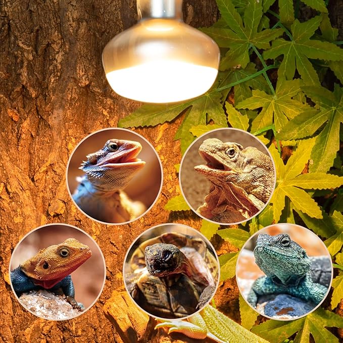 REPTI ZOO 2 Pack Heat Lamp 150W, Intense Basking Spot Simulated Natural Sunlight Heating Lamp Bulb, Heat Emitter UVA Heat Lamp Bulb for Reptile Chickens Pet Brooder