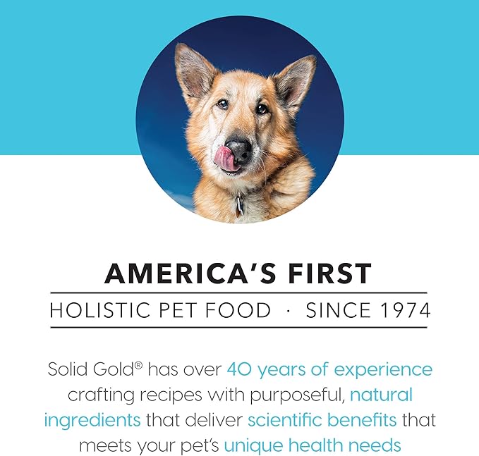 Solid Gold Canned Dog Food for Adult & Senior Dogs - Made with Real Lamb and Healthy Whole Grains - Hund-N-Flocken High Calorie, High Protein Wet Dog Food