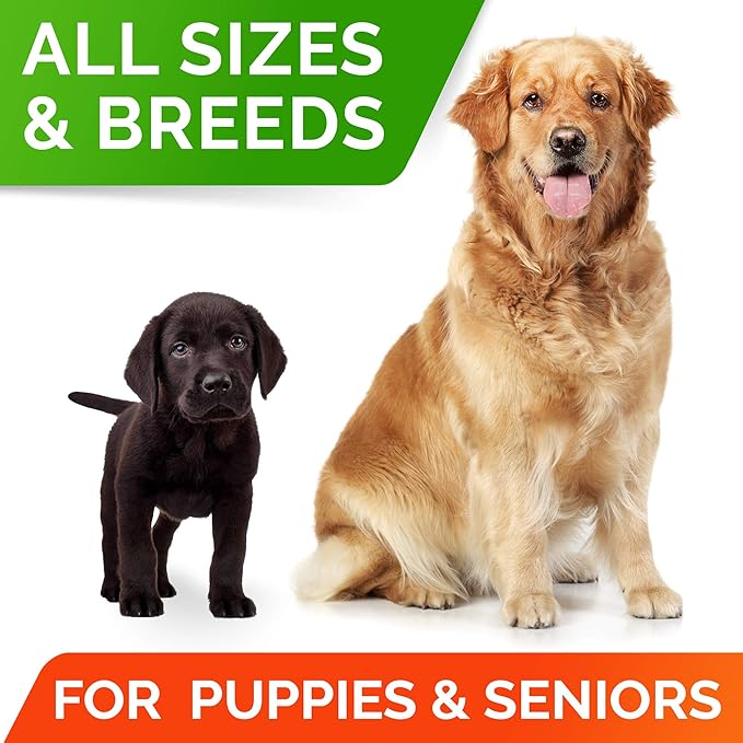 StrellaLab Dog Probiotics Treats for Picky Eaters (180ct) - Digestive Enzymes + Prebiotics - Chewable Fiber Supplement - Allergy, Diarrhea, Gas, Constipation, Upset Stomach Relief - Digestion&Immunity