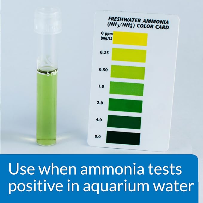 API AMMO-LOCK Freshwater and Saltwater Aquarium Ammonia Detoxifier 8-Ounce Bottle (45D)