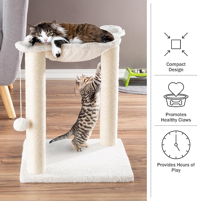 19-Inch Cat Scratching Post with Hammock ? Sisal Fabric and Carpet Small Cat Tree, Hanging Ball Toy for Adult Cats and Kittens by PETMAKER (White)