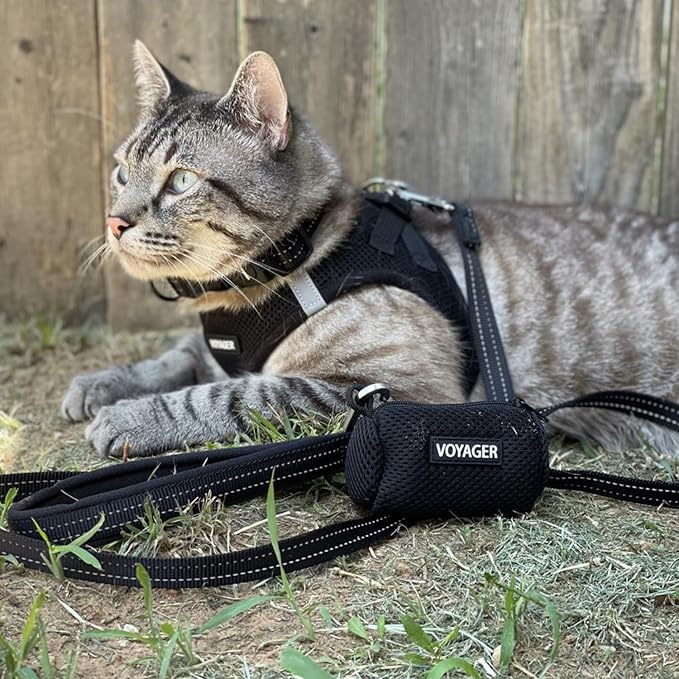 Voyager Step-in Air Dog Harness - All Weather Mesh Step in Vest Harness for Small and Medium Dogs and Cats by Best Pet Supplies - Harness (Black), M (Chest: 16-18")