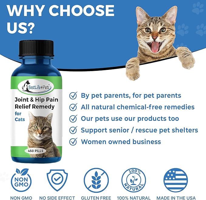 BestLife4Pets Cat Hip and Joint Supplement - Relief from Pain, Inflammation, and Injuries - Improve Mobility - No Odor or Taste - All Natural Easy to Use and Swallow - Pills