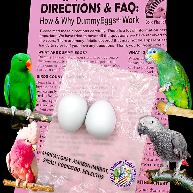 2 Medium Parrot Control Laying! 1.5" x 1.25" (3.7 x 3cm) Non-Toxic Solid Plastic Fake Bird Eggs African Grey, Eclectus, Azn, Small Cockatoo or Macaw. Ship Fast!