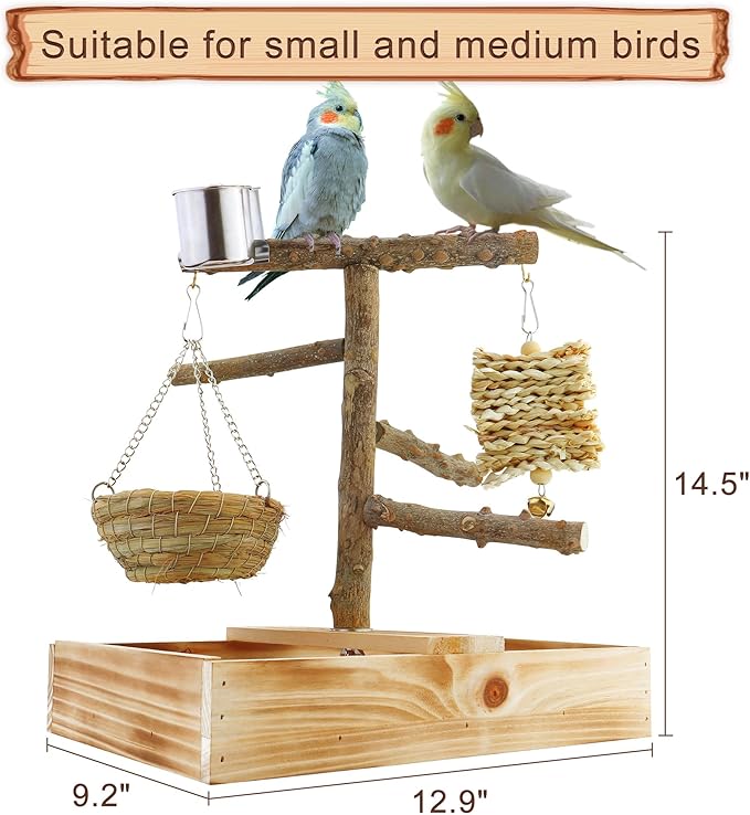 Mogoko Natural Bird Playground Bird Perches, Bird Cage Accessories, Bird Toys Playground, Bird Perch Stand Parrot stand, includes 2 Stainless Steel Cups and Removable Tray
