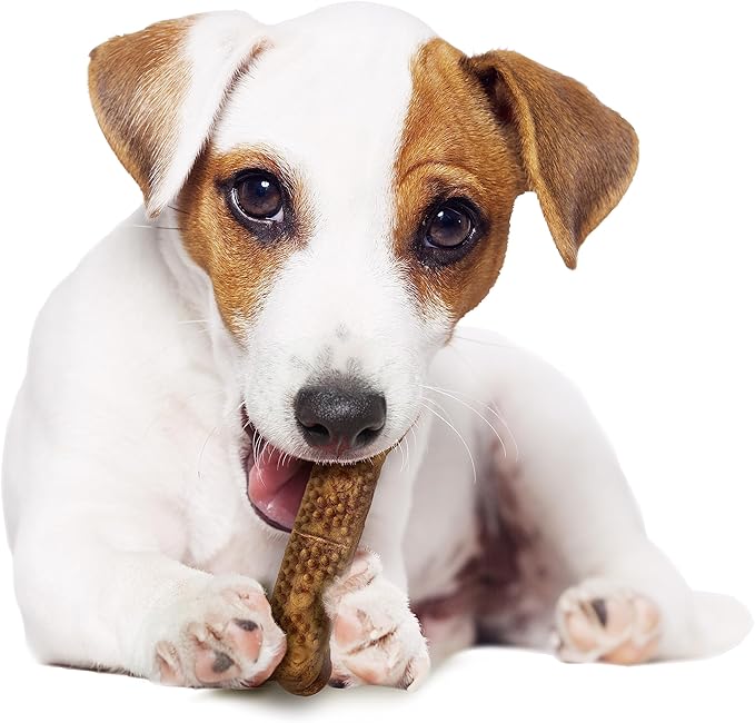 Nylabone Nubz Natural Edible Chew Treats for Dogs, Made in USA, Chicken Flavor, Small - Up to 25 lbs. (8 Count)