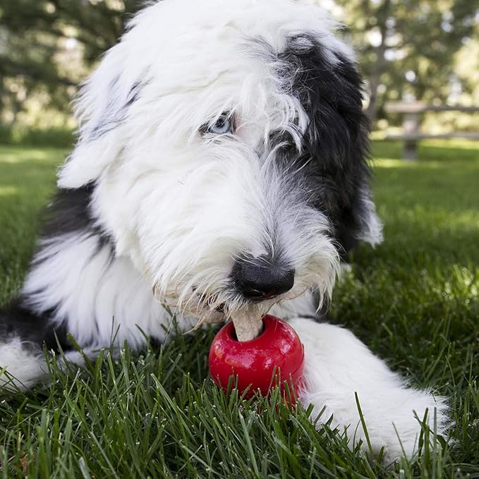 KONG - Dog Treat Combo - Easy Treat, Snacks and Ziggies - Peanut Butter Treats for Medium/Large Dogs