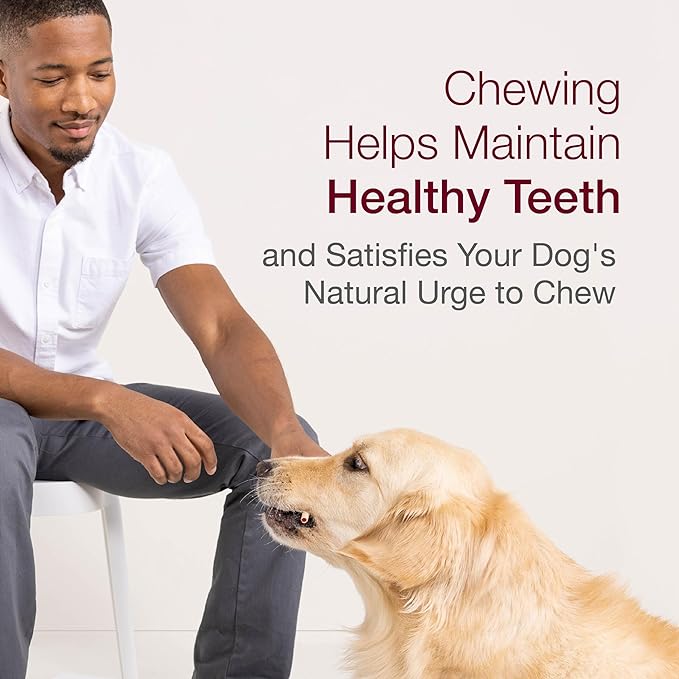 SmartBones SmartSticks, Treat Your Dog to a Rawhide-Free Chew Made with Real Chicken and Vegetables,10 sticks (Pack of 2)