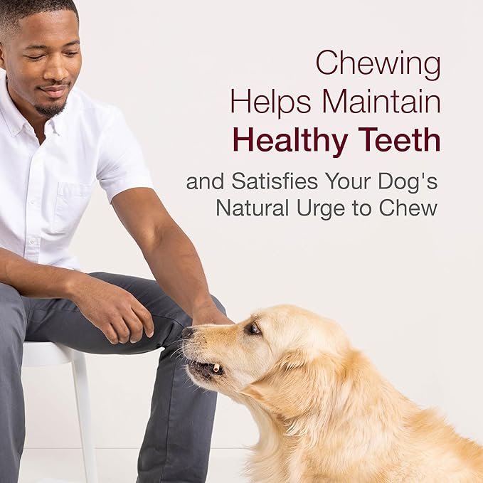 SmartBones SmartSticks, Treat Your Dog to a Rawhide-Free Chew Made With Real Chicken and Vegetables,10 sticks