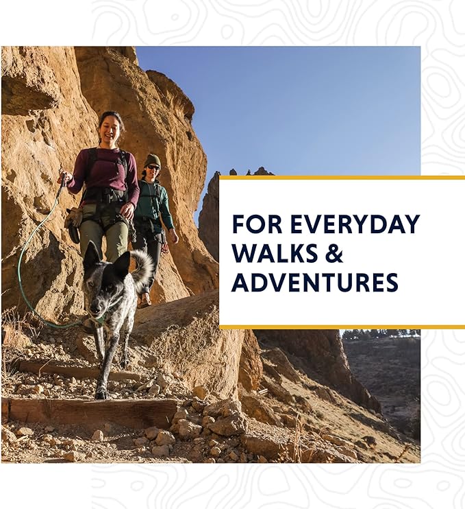 Ruffwear, Knot-a-Leash Dog Leash, Reflective Rope Lead with Carabiner, Aurora Teal, Small