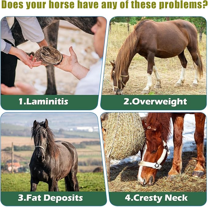 Insulin Resistance Supplement for Horses, Herbal Formulated for High Insulin, Chronic Laminitis, Cushing's Syndrome, Sore Feet, Blood Sugar Reduction & Metabolic Enhancement, 0.44 lbs