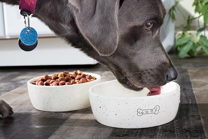 Pearhead Woof Pet Bowl, Dog Water and Food Dish, Pet Owner Dog Accessory, Ceramic, White, Microwave and Dishwasher Safe, Holds 3 Cups, 24 oz