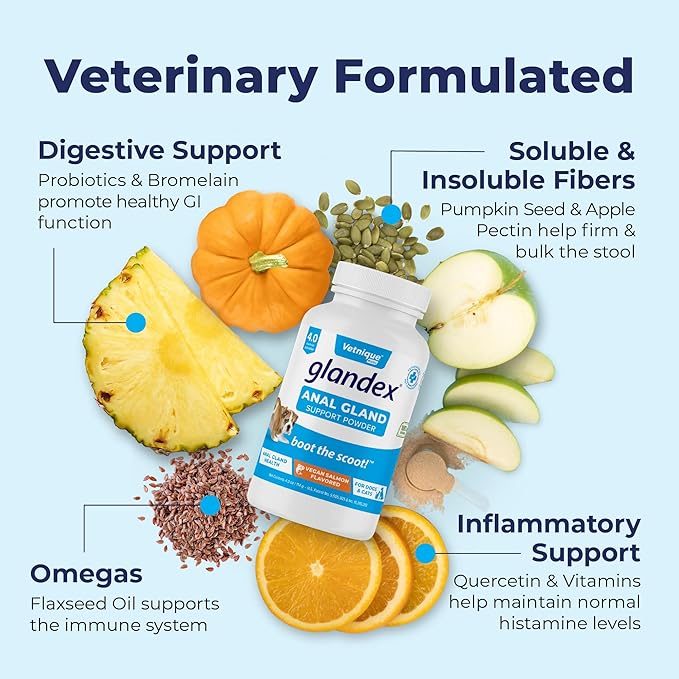 Glandex Dog Fiber Supplement Powder for Anal Glands with Pumpkin, Digestive Enzymes & Probiotics - Vet Recommended Healthy Bowels and Digestion - Boot The Scoot (Vegan Salmon, 4.0oz Powder)