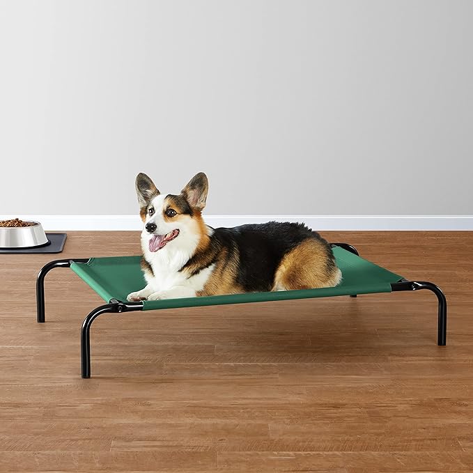 Amazon Basics Cooling Elevated Dog Bed with Metal Frame, Medium, 43"L x 25.6"W x 7.5"Th, Green