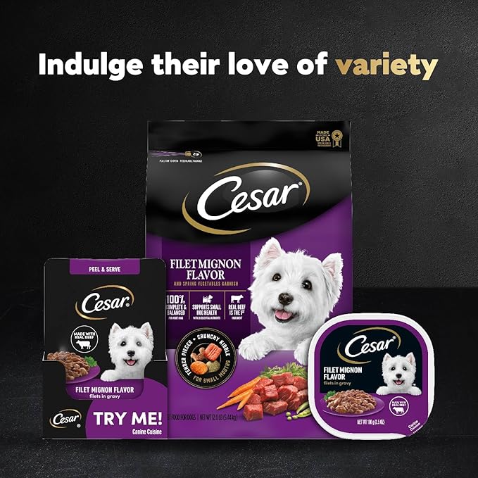 Cesar Filets in Gravy Wet Dog Food Filet Mignon Flavor, 1.76 oz. Mini-Pouch, 20 Pack