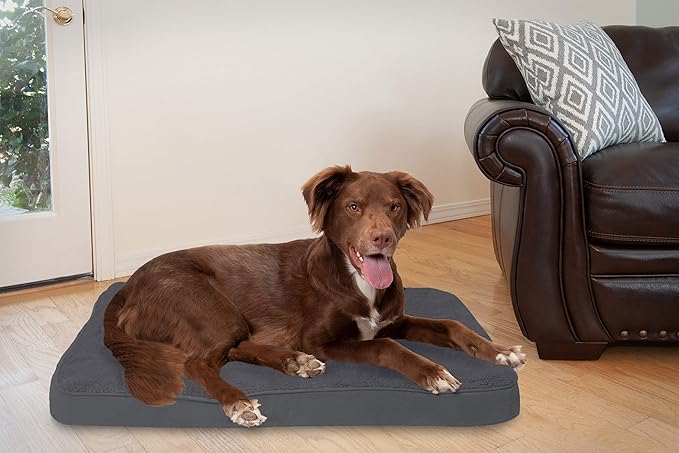 Furhaven Memory Foam Dog Bed for Large/Medium Dogs w/ Removable Washable Cover, For Dogs Up to 55 lbs - Terry & Suede Mattress - Gray, Large