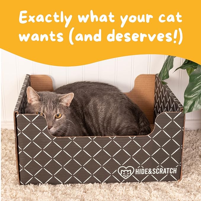 Hide & Scratch Extra-Large Heavy Duty Cardboard Cat Scratcher Box and Cat Bed with Refillable Scratch Pad