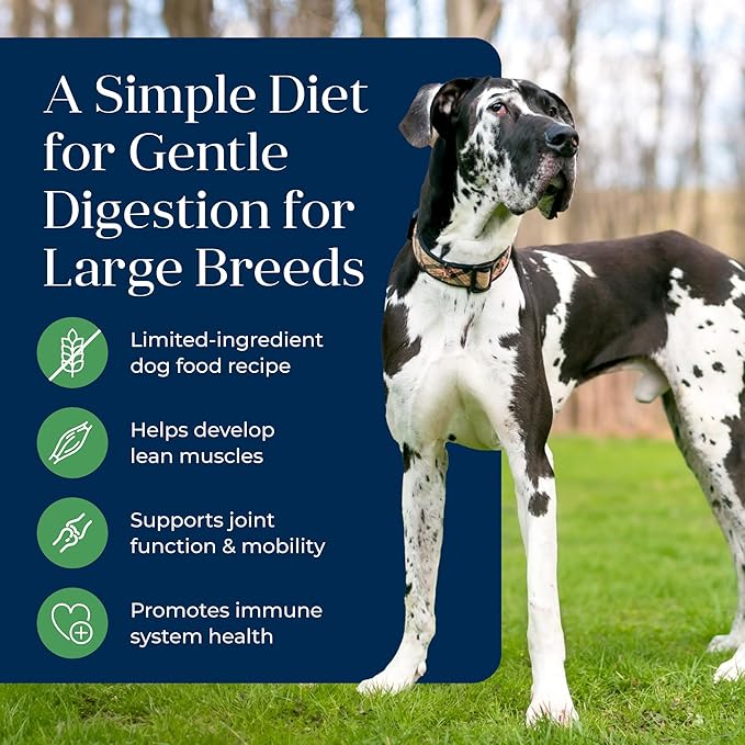 Blue Buffalo Basics Adult Large Breed Grain-Free Dry Dog Food for Skin & Stomach Care, Limited Ingredient Diet, Made in the USA with Natural Ingredients, Lamb & Potato Recipe, 22-lb. Bag