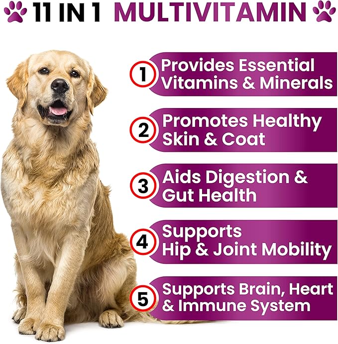 Dog Multivitamin Chewable with Glucosamine - Dog Vitamins and Supplements, Senior & Puppy Multivitamin for Dogs - Pet Chondroitin Hip and Joint Support Health, Immune Booster, Skin, Heart, Probiotics