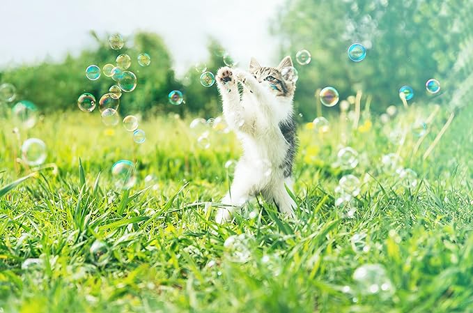 Catnip Bubbles Catnip Toys for Cats 4oz*2- Unbelievable Catnip Flavor Bubble for Cats -Non-Toxic Formula,Let The cat Chase Avoids Boredom & Keeps Pets Active.