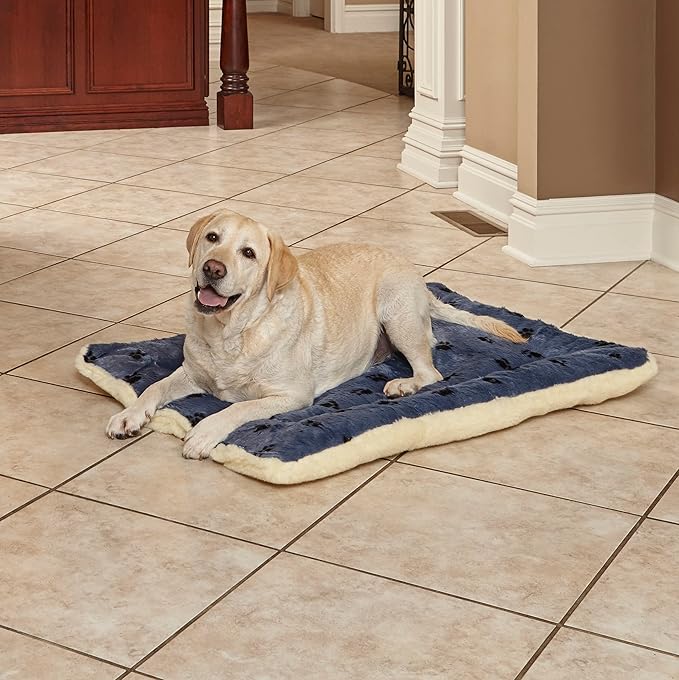 MidWest Homes for Pets Reversible Paw Print Pet Bed in Blue / White, Dog Bed Measures 40L x 26W x 3.5H for Large Dogs, Machine Wash