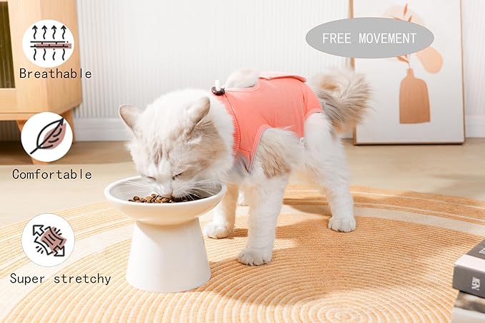 Cat Surgery Recovery Suit Female Kitten Cat Onesie for Cats After Surgery Spay Surgical Abdominal Wound Skin Diseases Cone Collar Soft Alternative Wear (Orange, L)