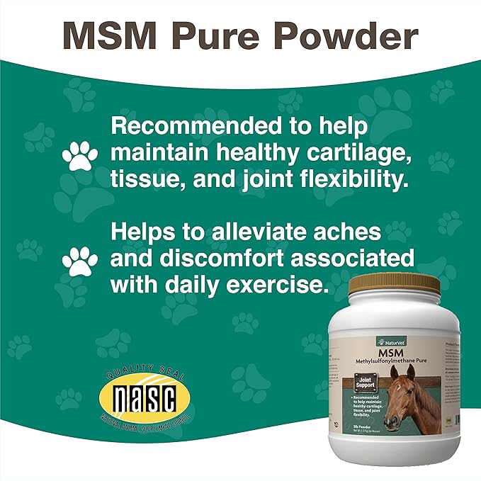 NaturVet MSM Pure Powder (Jar) 5 lbs. (1 Pack)
