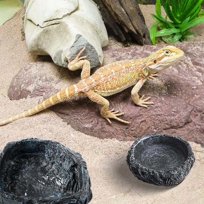 Reptile Bowl - 2Pcs Reptile Water Dish with Feeding Tongs Reptile Feeding Reptile Feeding Bowls Reptile Water Bowl Reptile Food Dish for Lizard Tortoise