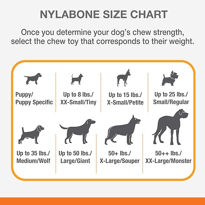 Nylabone Moderate Chew FlexiChew Bone Peanut Butter & Bacon XX-Small/Tiny (2 Count)
