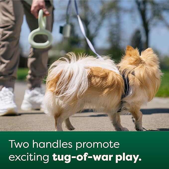 Earth Rated Tug of War Dog Toy, Interactive Pull Toy for Adult and Puppy Dogs, Ergonomic Grip, Natural Rubber, Small, Green