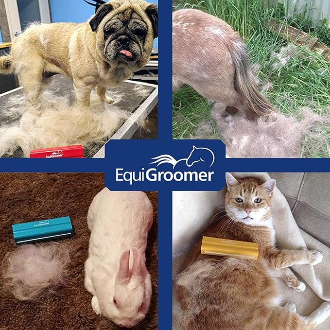 EasyGroomer Deshedding Brush for Dogs Cats Blue Undercoat Tool for Large and Small Pets Comb Removes Loose Dirt, Hair and Fur