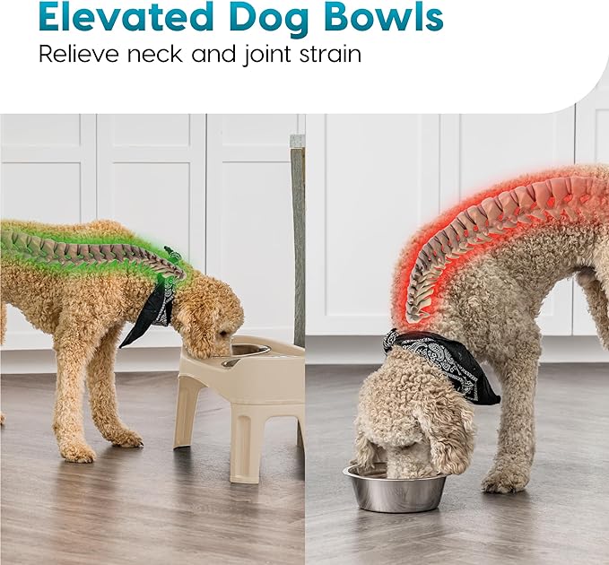 IRIS USA Elevated Dog Bowls, Adjustable Height, 2 Thick 64 oz Stainless Steel Bowls, Spill-Proof with Raised Outer Rim, Durable Made in USA Plastic, Easy Assemble, 2 Heights 4.63" or 12.25" Almond