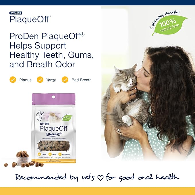 ProDen PlaqueOff Scoopables: Salmon-Flavored Dental Bites for Cats - Natural Kelp Formula for Plaque & Tartar Control, Freshens Breath- 45 Scoops