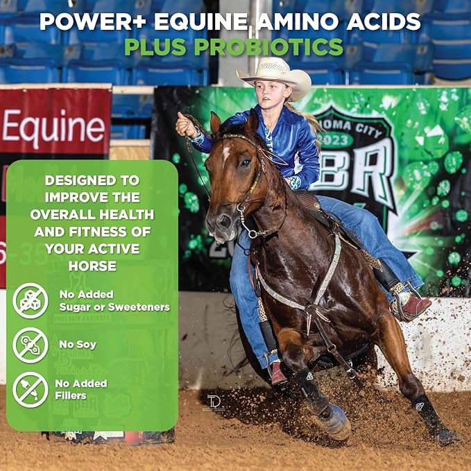 Power+ Horse Supplement (174g/0.38lbs - 30 Servings) - 9 Equine Amino Acids Plus Probiotics for Horses - No Added Sugar, No Soy, No Fillers - Horse Joint Support Supplement