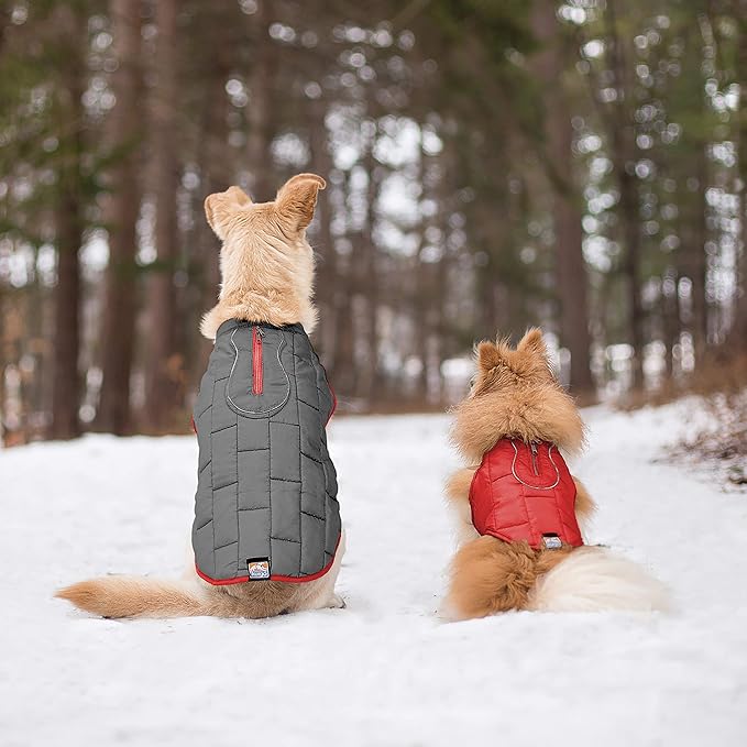 Kurgo Loft Dog Jacket, Reversible Dog Coat, Wear with Harness or Sweater, Water Resistant, Reflective, Winter Coat for Small Dogs (Chili Red, S)