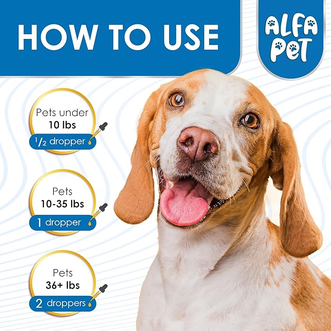 Dog Cough - Kennel Cough - Dog Allergy Relief - Supplements for Dogs & Cats Health - Allergy Relief Immune Supplement for Dogs - for Dry, Wet & Barkly